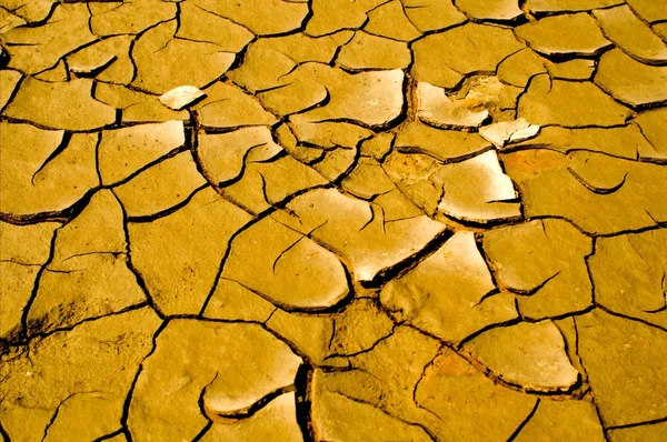 Cracked Earth — Stock Photo, Image