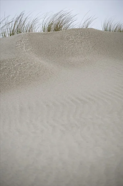 그래스, 언덕과 모래 — 스톡 사진