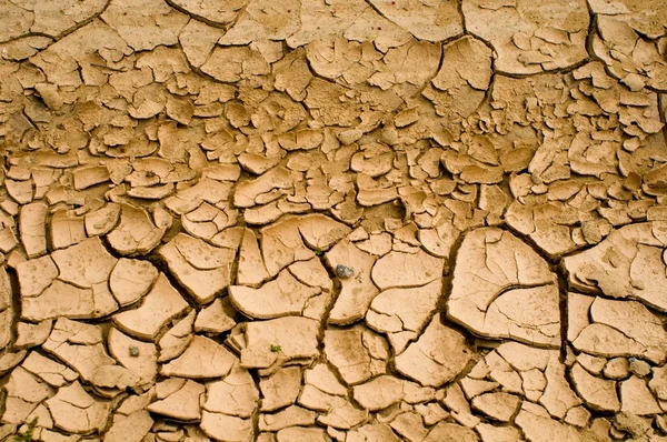 Droge gebarsten aarde — Stockfoto