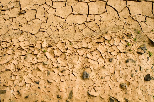 Droge gebarsten aarde — Stockfoto