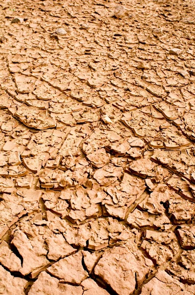 Terra seca rachada — Fotografia de Stock