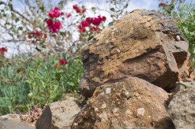 Kaba volkanik manzara