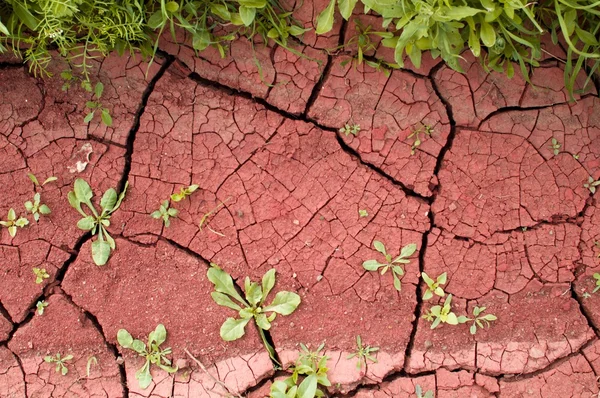 Geërodeerde aarde met gras — Stockfoto