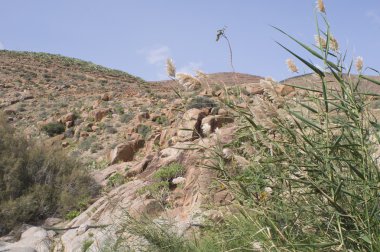 Kaba volkanik manzara