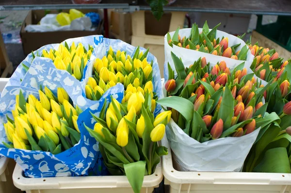 Mångfärgade tulpaner i marknaden — Stockfoto