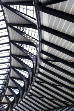 Futuristic steel construction