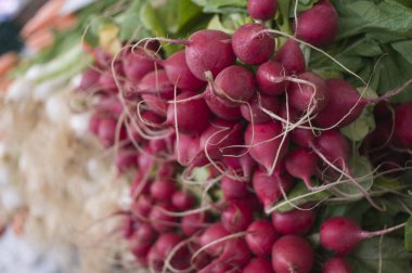 Ripe fresh radishes for sale