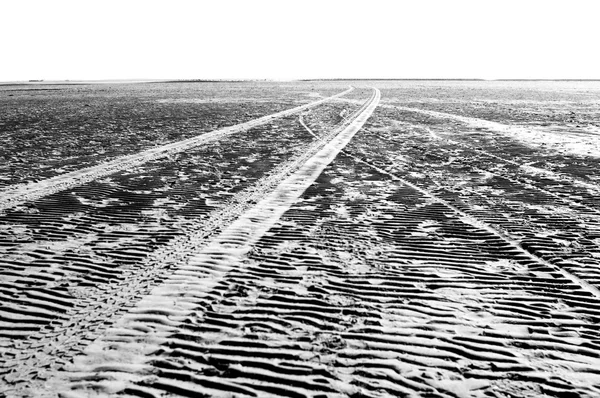 Traces on sandy surface — Stok fotoğraf