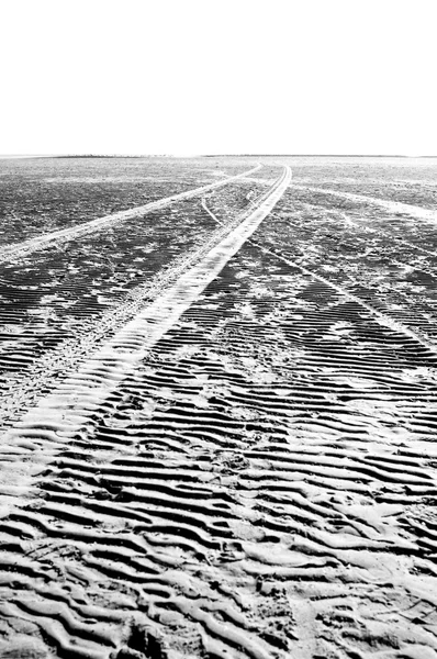 Traces on sandy surface — Stok fotoğraf