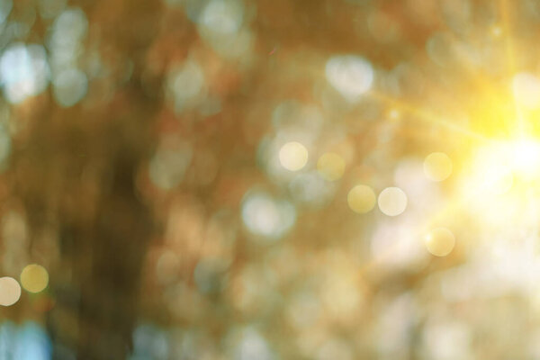 Зеленая природа солнечный свет красочные bokeh абстрактный фон..
