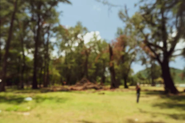 Blur Natura Bokeh Zielony Park Przy Plaży Tropikalnych Drzew Kokosowych — Zdjęcie stockowe