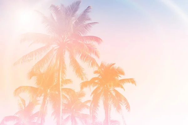 Тропические Пальмы Кокосовые Пальмы Закате Небо Вспышки Bokeh Природы Красочный — стоковое фото