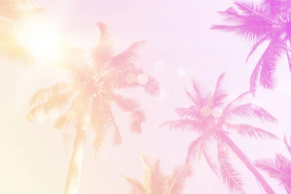 Tropische Palm Kokosbomen Zonsondergang Hemel Flare Bokeh Natuur Kleurrijke Kopieerruimte — Stockfoto