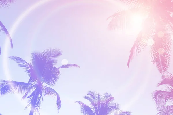 Тропические Пальмы Кокосовые Пальмы Закате Небо Вспышки Bokeh Природы Красочные — стоковое фото