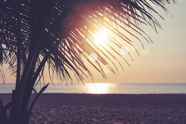 Время Захода Солнца Пляже Фоне Солнечного Света — стоковое фото