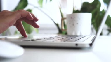 Bokeh 'i hareket ettiren yeşil doğa kafenin arka planındaki pencereden geçiyor.