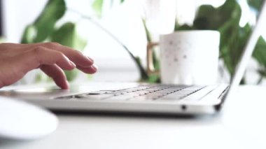 4K video kadın eli doğayla iç içe çalışmak için dizüstü bilgisayar kullanıyor iş dünyası, finans, borsa ve sosyal ağ kavramı.