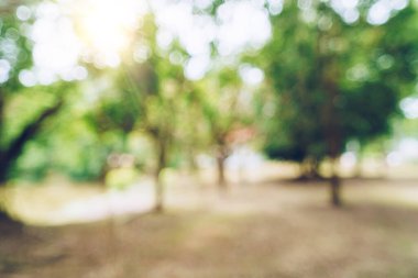 Yeşil tonlu bulanık doğa Bokeh halk parkı ve birkaç ağaç arka planda.