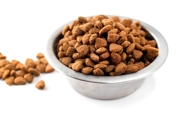 Kasede köpek maması. Beyaz arka planda bir kase dolusu yemek..
