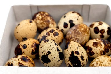 Bıldırcın yumurtaları organik bir kutuda. Yumurtaları kapat.