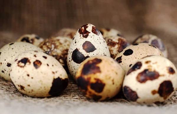 Ovos Codorna Estão Pedaço Material Feito Close Serapilheira Alimentos Saudáveis — Fotografia de Stock