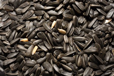 Ay çekirdeği. Tohumlar fotoğrafın yüzeyine saçılmış. Ayçiçeği tohumları yakın plan