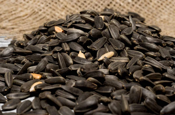 Sunflower seeds. Seeds are scattered all over the surface of the photo. Sunflower seeds close-up