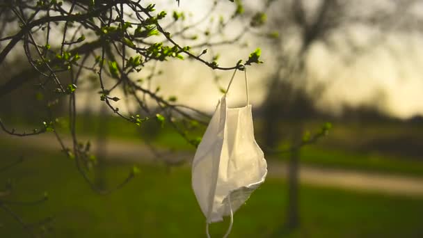 Protective Mask Bacteria Hangs Tree Wind Pandemic End Pandemics Diseases — Stock Video