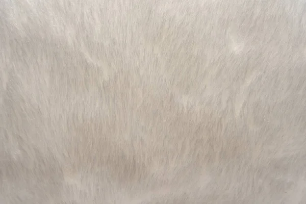 毛皮だ 人工毛だ 明るい灰色の色のクローズアップでの毛皮の作品の背景 白い毛皮のテクスチャの背景 — ストック写真