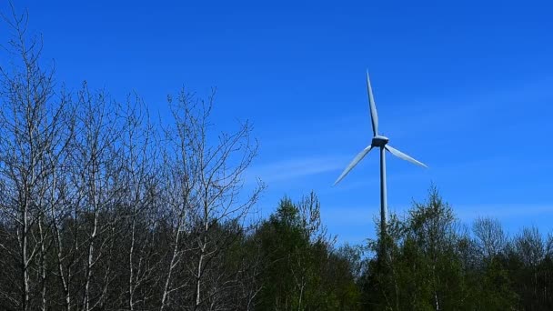 風力タービンは24時間発電を行う 森の中の風力タービン — ストック動画