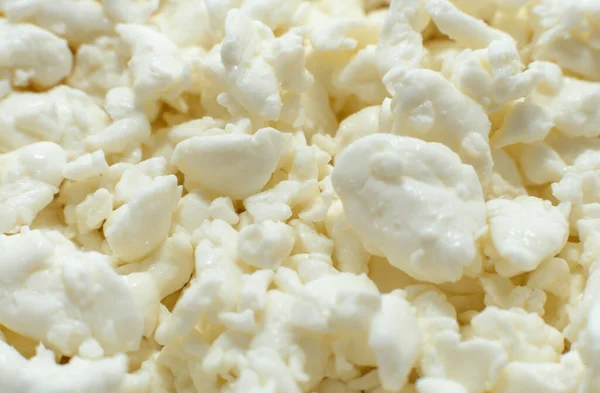 Süzme Peynir Tahıl Ezmesi Süt Ürünleri Sağlıklı Dengeli Yiyecekler Laktoz — Stok fotoğraf
