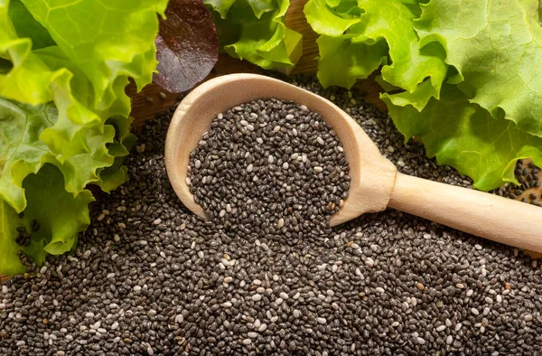 Chia seeds. Chia in a wooden spoon around lettuce leaves. Healthy food. Weightloss remedy