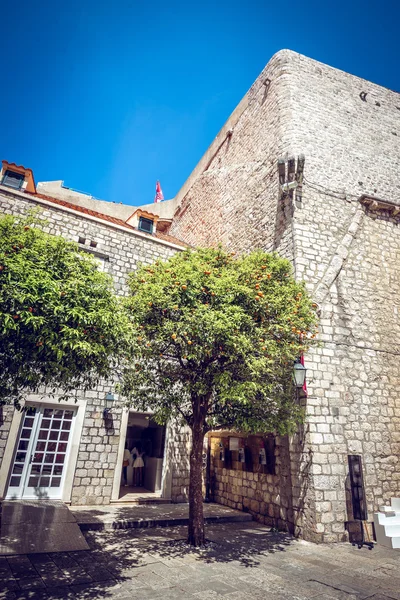 Dubrovnik straat leven, Kroatië. Oranje boom. — Stockfoto
