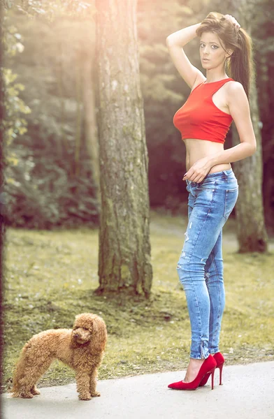 Mulher com seu cão poodle na floresta . — Fotografia de Stock