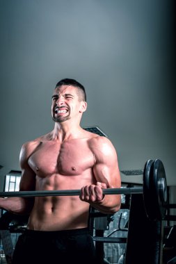 Genç adam halter egzersiz jimnastik salonu yapmak