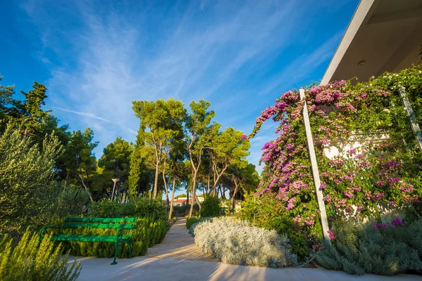 Hotellets trädgård och terrass — Stockfoto