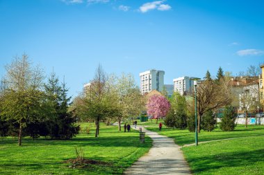 Bahar bloom ile Saraybosna'da Park