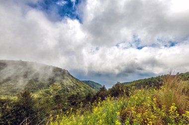 Korcula Adası'nda bulutlu gökyüzü