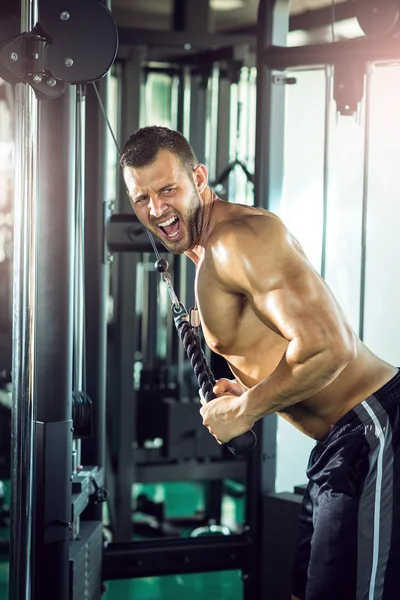 Triceps rope pushdown — Stock Photo, Image