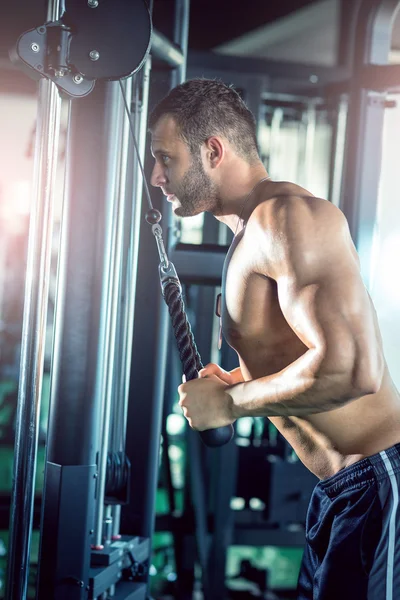 Triceps rope pushdown — Stock Photo, Image