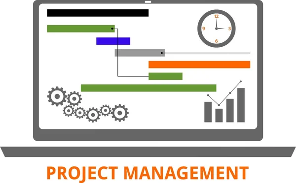 Vettore - gestione del progetto — Vettoriale Stock