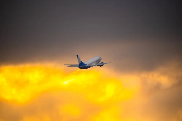 Avião no céu ao nascer do sol — Fotografia de Stock