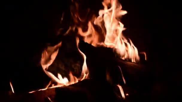 Fuego ardiente en la chimenea. — Vídeo de stock