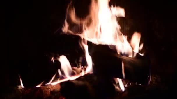 Leña ardiendo, llama caliente, chispas de fogata — Vídeo de stock