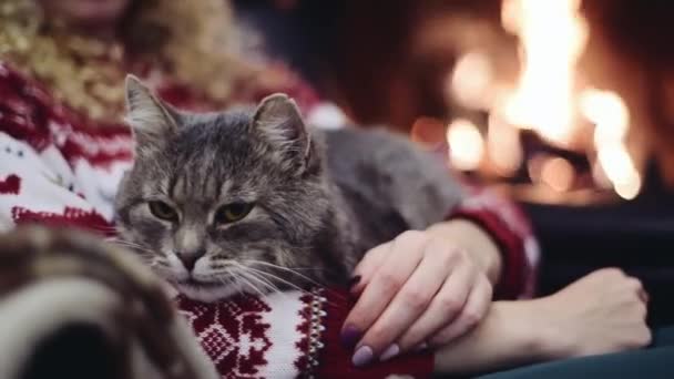 Junge Frau im roten Weihnachtspulli sitzt im Sessel mit grauer Katze auf den Beinen am Kamin — Stockvideo