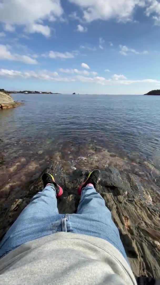 Αρσενικά πόδια σε αθλητικά παπούτσια στην πετρώδη παραλία. Moody ατμόσφαιρα του μόνου χρόνου στη φύση. Κάθετη βίντεο — Αρχείο Βίντεο