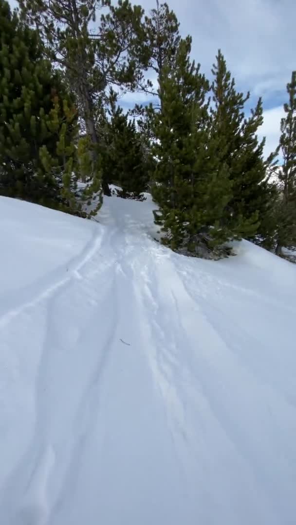 Sulla pista con lo snowboard con vista sulla pista da sci in montagna innevata. Video verticale — Video Stock