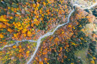 Renkli ormanın, mavi nehrin ve kayaların insansız hava aracı görüntüsü. Güzel sonbahar manzarası
