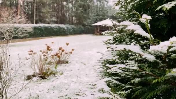 Prima nevicata in inverno, i rami sono già pieni di neve. campo innevato e grande gazebo in legno. — Video Stock