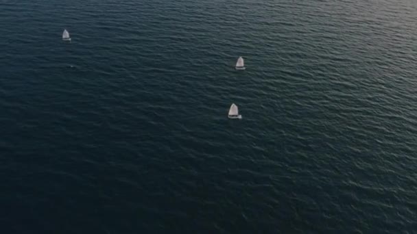Lot of sailing yachts sail open sea oceans. Sport navigation regatta competition.. Associated wind blue water horizon. — Stock Video